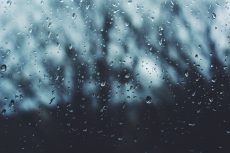 rainy window
